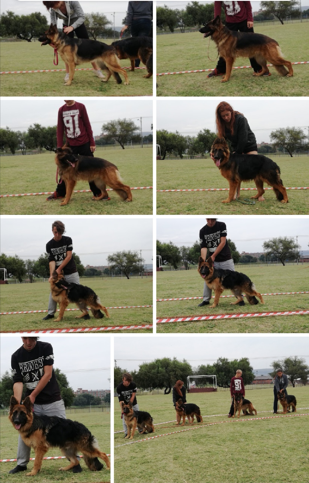 Show_training