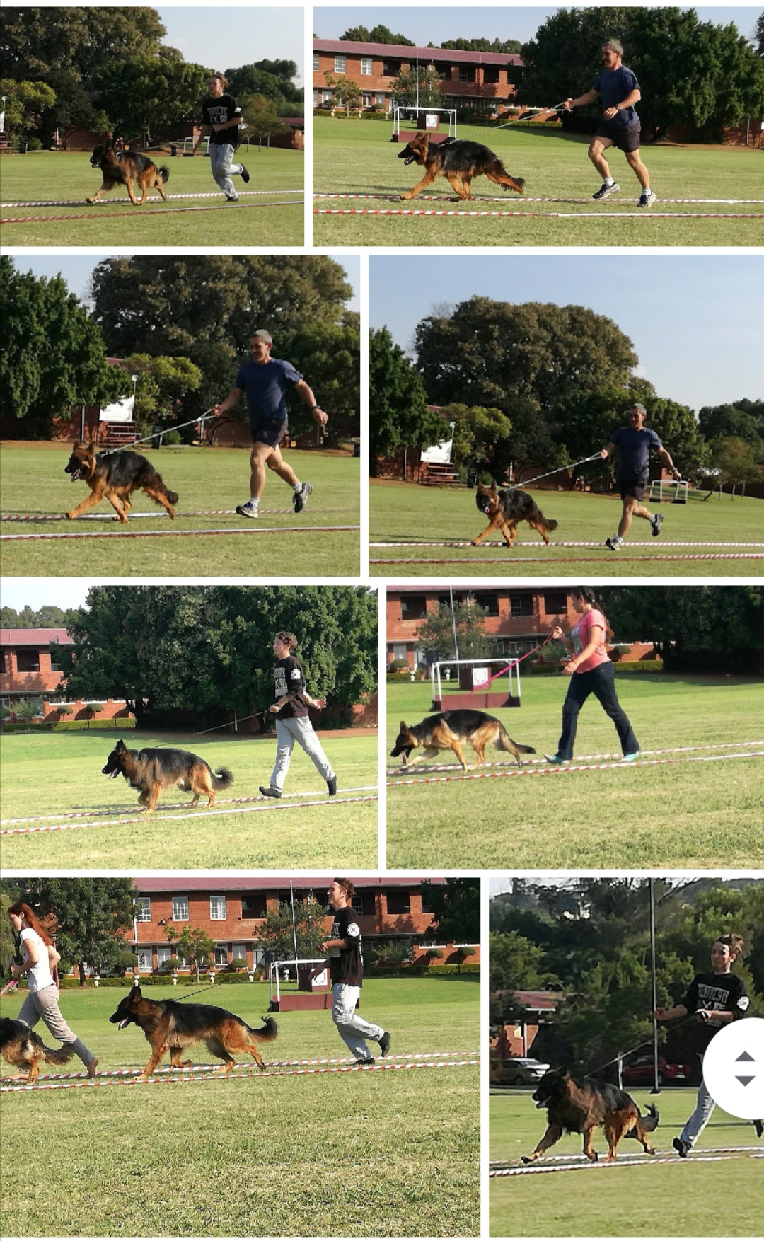 Show_training_Gating